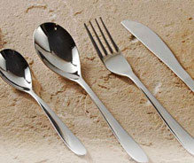 Stainless Steel Spoon Fork Sigma Design 